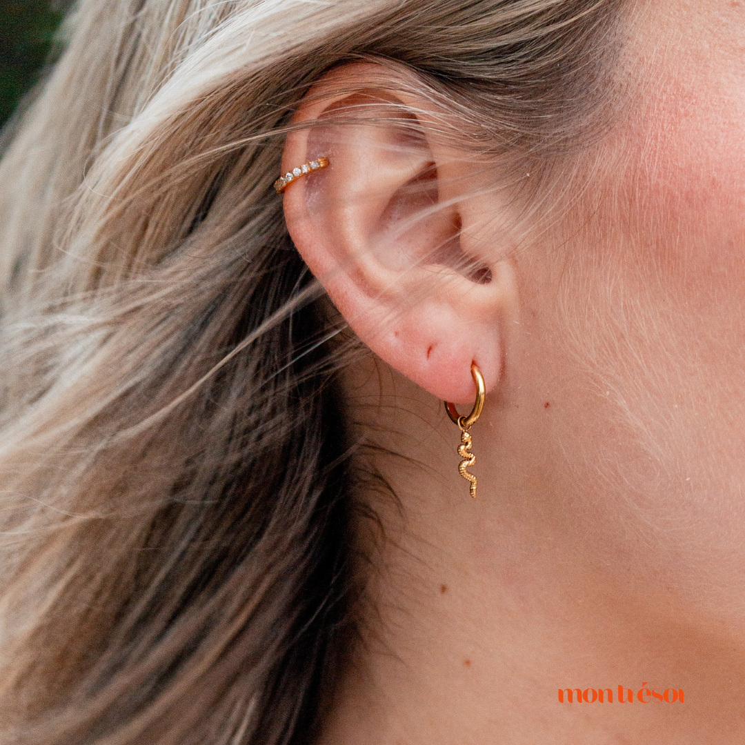 Snake hoops