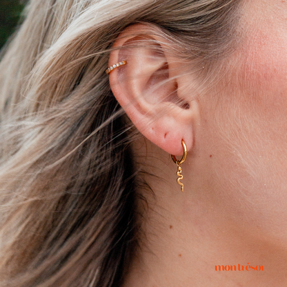 Snake hoops